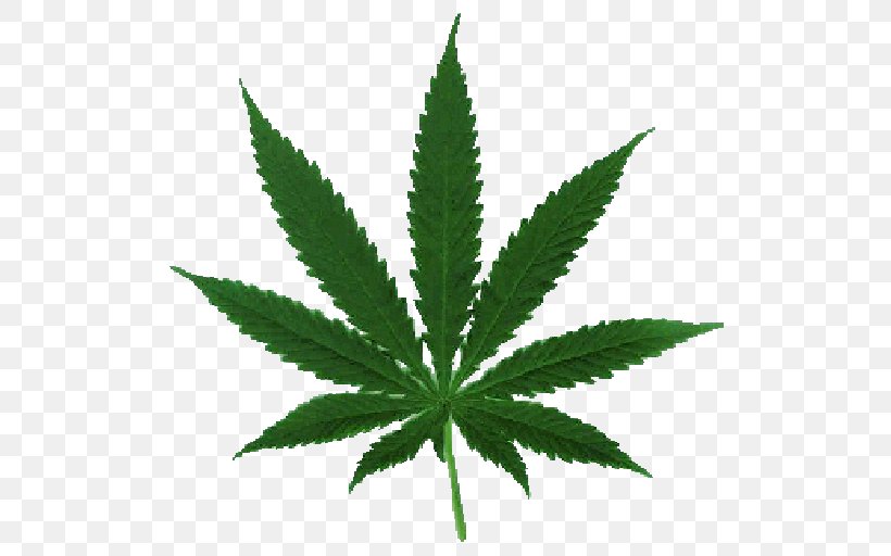 Cannabis Sativa Cannabis Ruderalis Marijuana Medical Cannabis, PNG, 512x512px, Cannabis Sativa, Cannabis, Cannabis Ruderalis, Drawing, Drug Download Free