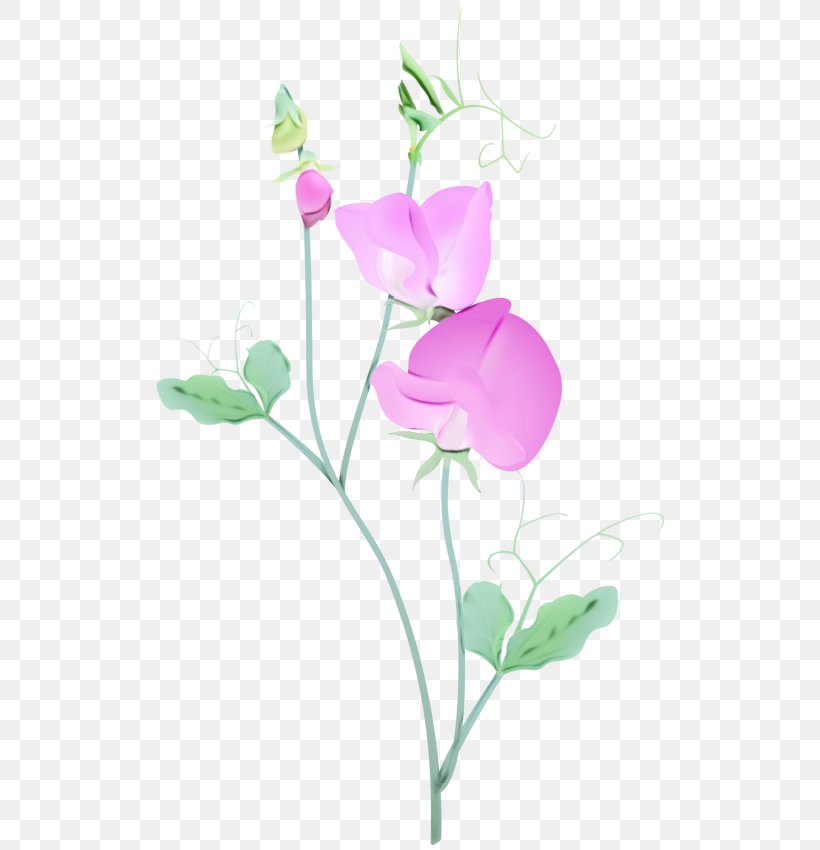 Floral Design, PNG, 519x850px, Watercolor, Anthurium, Cut Flowers, Everlasting Sweet Pea, Floral Design Download Free