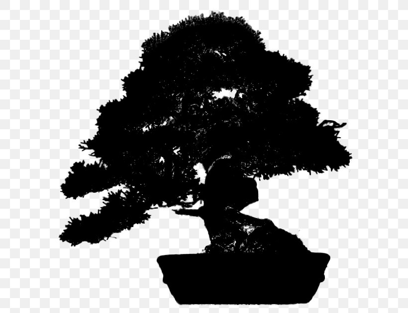 Tree Silhouette Bonsai, PNG, 600x630px, Tree, Blackandwhite, Bonsai, Branch, Houseplant Download Free