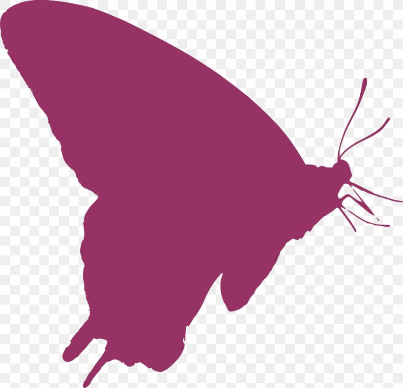 Butterfly User Clip Art, PNG, 1000x964px, Butterfly, Beak, Computer Hardware, Computer Monitors, Computer Network Download Free