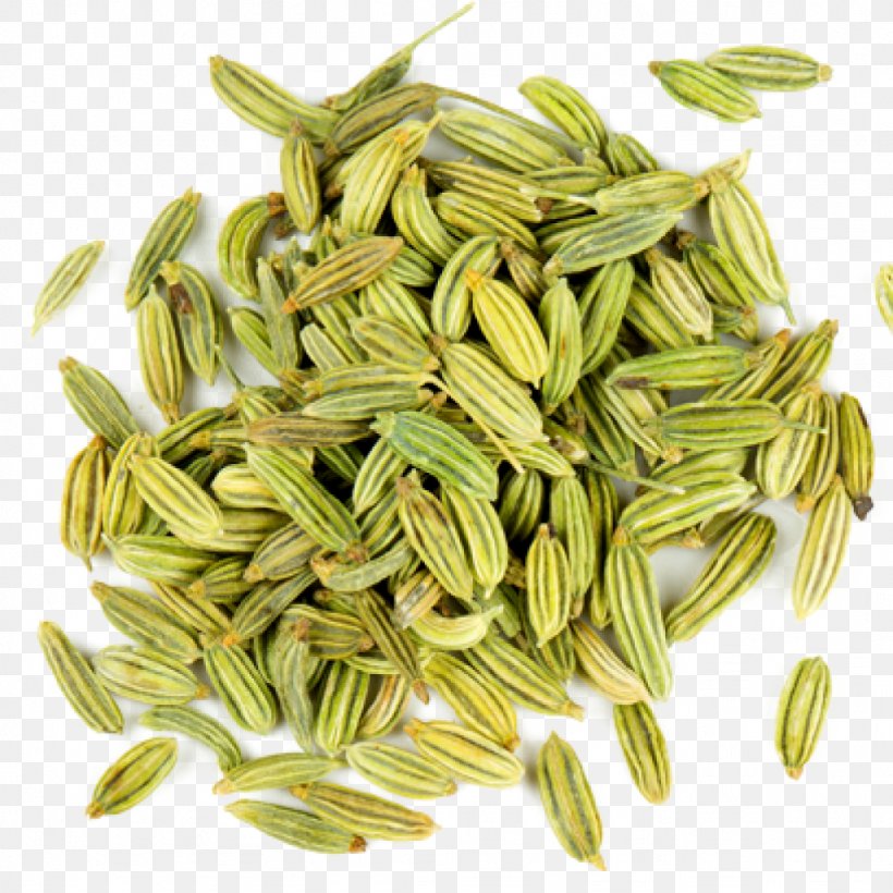 Fennel Spice Flavor Seed Fenugreek, PNG, 1024x1024px, Fennel, Aroma Compound, Avena, Cereal Germ, Chewing Download Free