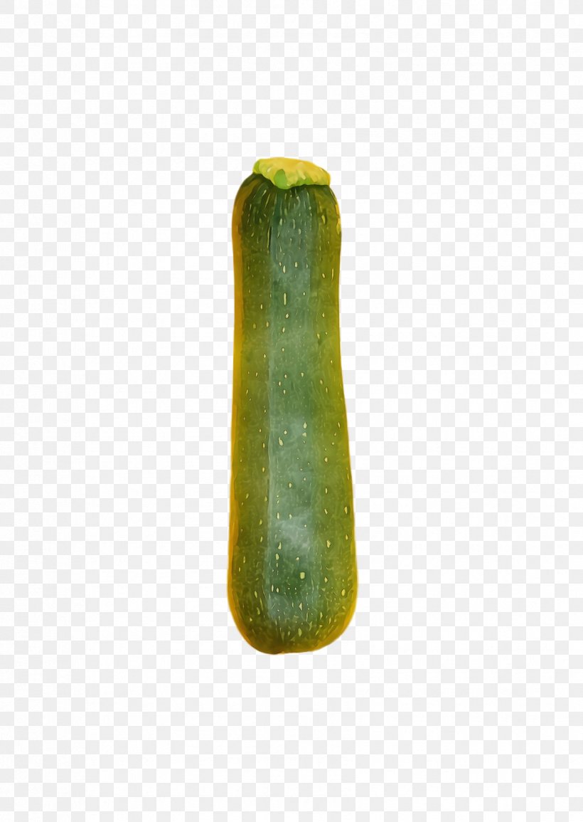 Green Cucumber Cucumis, PNG, 1684x2372px, Watercolor, Cucumber, Cucumis, Green, Paint Download Free