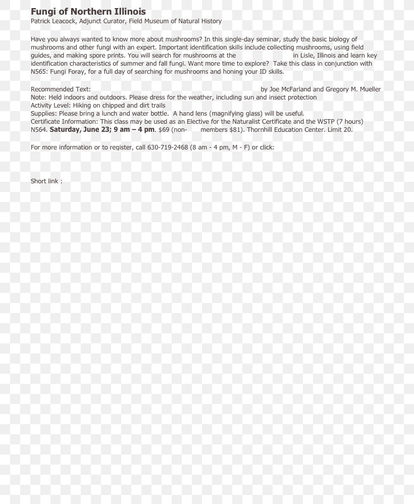 Document Line Angle, PNG, 719x998px, Document, Area, Paper, Text Download Free