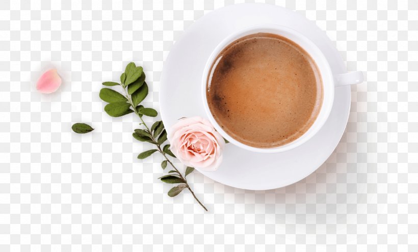 Espresso Ristretto Dandelion Coffee Coffee Cup Mate Cocido, PNG, 1800x1088px, Espresso, Caffeine, Coffee, Coffee Cup, Cup Download Free