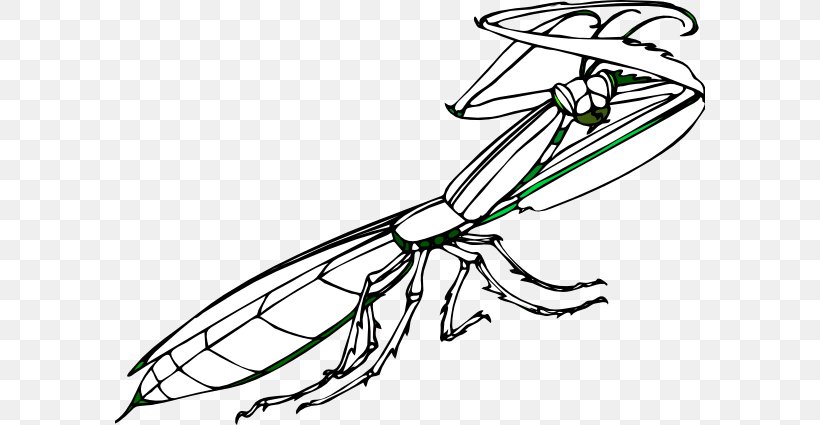 Insect Clip Art European Mantis Openclipart, PNG, 590x425px, Insect, Artwork, Automotive Design, Black And White, Coloring Book Download Free