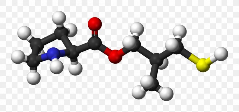 Methyl Benzoate Myrcene Acid Chemical Compound Chemical Substance, PNG, 1100x515px, Methyl Benzoate, Acid, Benzoic Acid, Chemical Compound, Chemical Substance Download Free