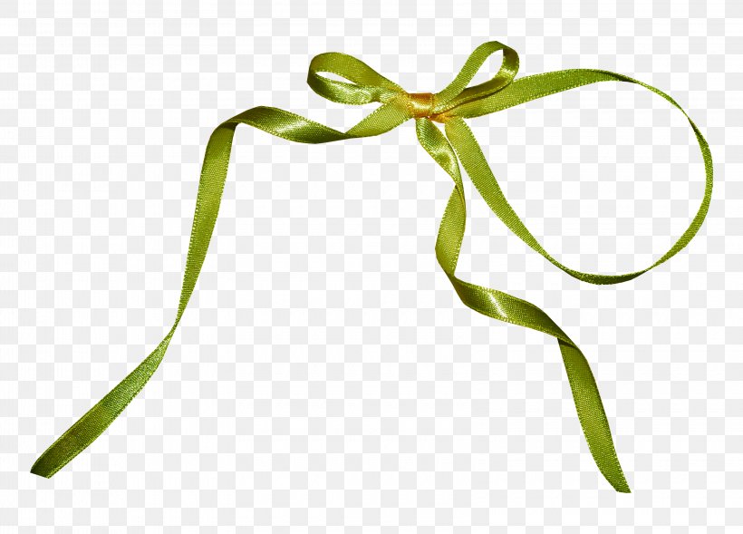 Silk Ribbon Green Clip Art, PNG, 3200x2300px, Silk, Blue, Eye, Flower, Flowering Plant Download Free