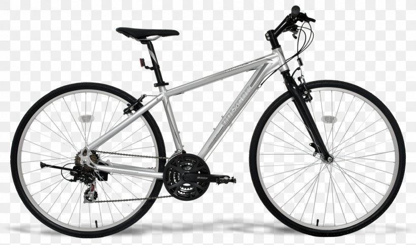 Bicycle Shop Bianchi Cycling Mountain Bike, PNG, 1600x943px, Bicycle, Bianchi, Bianchi Usa, Bicycle Accessory, Bicycle Drivetrain Part Download Free
