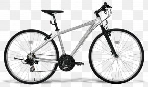 Polygon - Bicycle Shop Bianchi Cycling Mountain Bike PNG