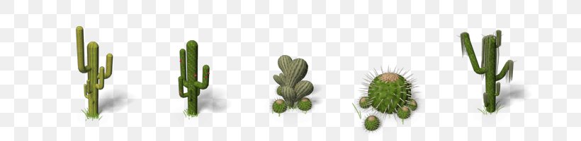 Cactaceae Saguaro Clip Art, PNG, 700x200px, Cactaceae, Flower, Flowering Plant, Gimp, Grass Download Free