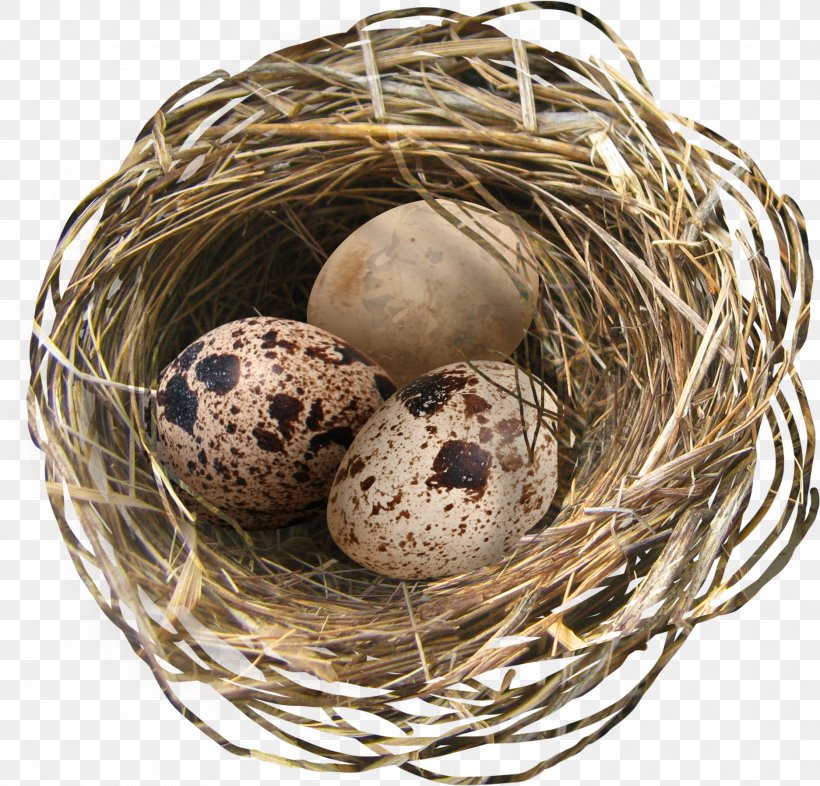 Chicken Easter Egg Nest, PNG, 1873x1797px, Chicken, Bird Nest, Chicken Coop, Easter, Easter Egg Download Free