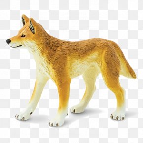 Dog - Dingo Dog Safari Ltd Animal Alligator PNG