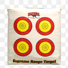 Target Archery Shooting Target Target Corporation PNG