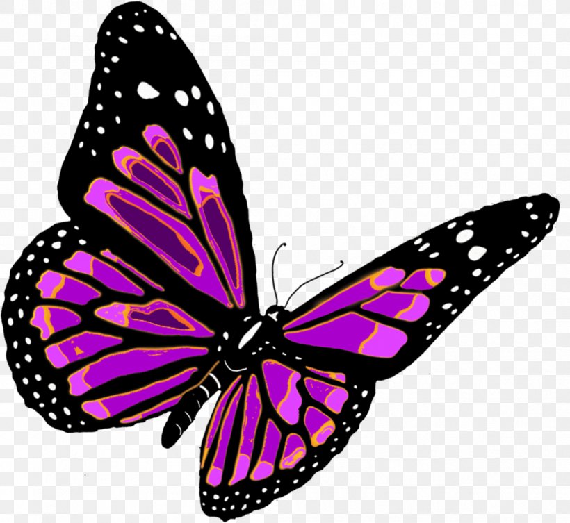 Butterfly Clip Art, PNG, 1053x967px, Butterfly, Arthropod, Brush Footed Butterfly, Color, Insect Download Free