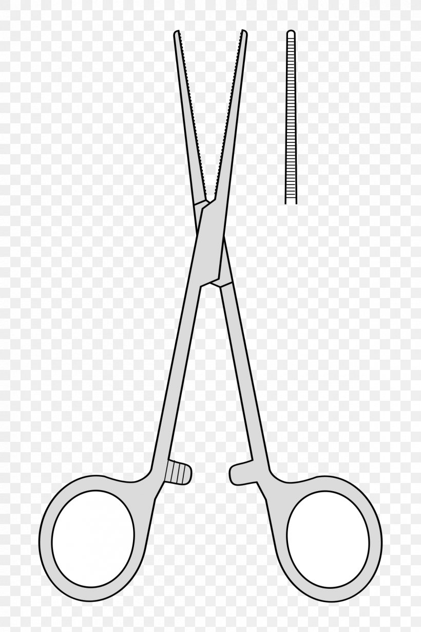 Hemostat Surgery Châteaudun Needle Holder Marboué, PNG, 1200x1800px, 30 January, Hemostat, Bleeding, Blood Vessel, France Download Free