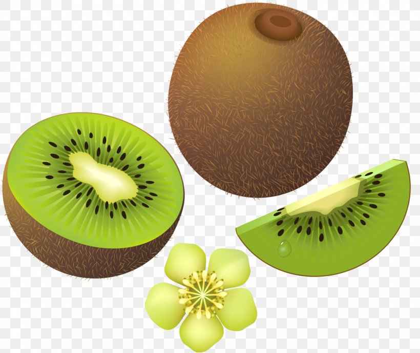 Kiwifruit Auglis Clip Art, PNG, 1600x1344px, Kiwifruit, Actinidia, Actinidia Deliciosa, Art, Auglis Download Free