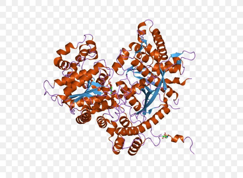 Paris Illustration Protein Plakophilin-1 Troponin T, PNG, 800x600px, Paris, Art, Gene, Human, Information Download Free