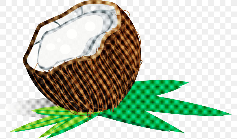 Coconut, PNG, 786x483px, Plant, Coconut Download Free