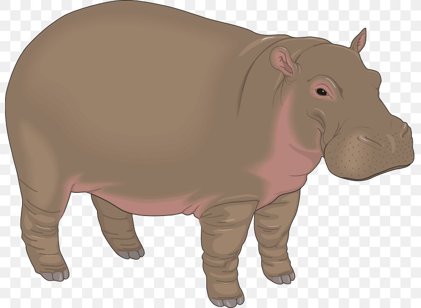 Hippopotamus Baby Hippos Free Content Clip Art, PNG, 800x599px, Hippopotamus, Baby Hippos, Blog, Cartoon, Cattle Like Mammal Download Free