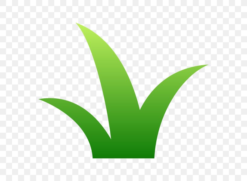 Leaf Plant Stem Font, PNG, 600x600px, Leaf, Grass, Green, Plant, Plant Stem Download Free