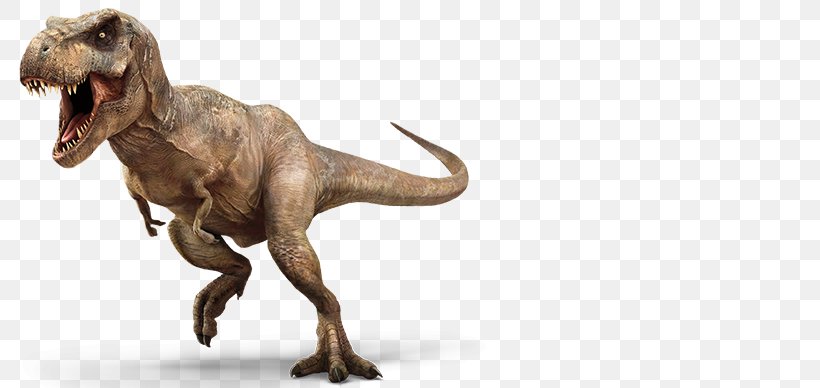 Tyrannosaurus Velociraptor Jurassic Park: The Game Triceratops, PNG, 800x388px, Tyrannosaurus, Animal Figure, Dinosaur, Extinction, Film Download Free