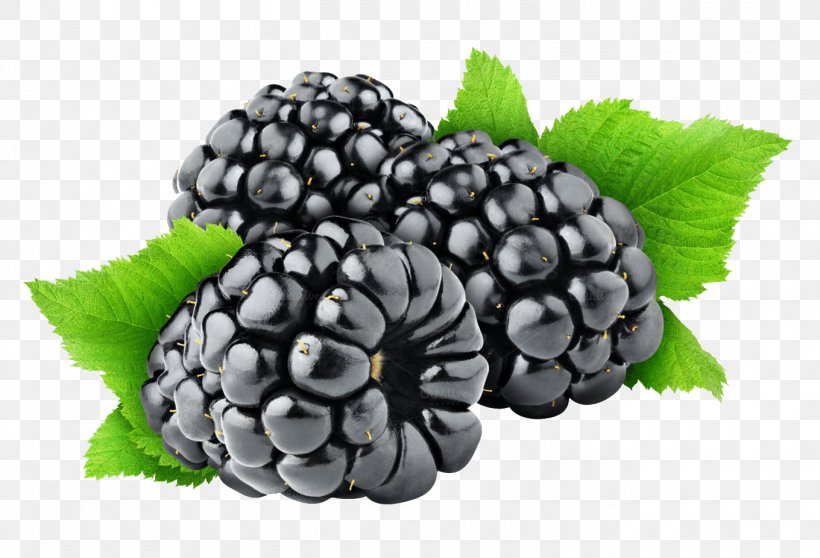 Blackberry Fruit Clip Art, PNG, 1360x926px, Cobbler, Berry, Bilberry, Blackberry, Boysenberry Download Free