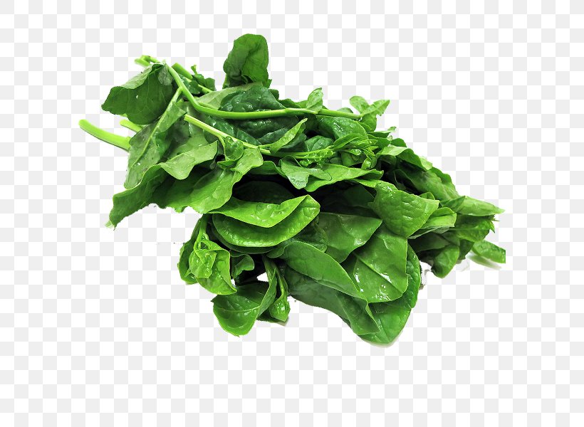 Spinach Komatsuna Collard Greens Spring Greens Chard, PNG, 600x600px, Spinach, Brassica Juncea, Chard, Chinese Broccoli, Choy Sum Download Free