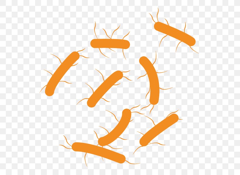 Bacteria Microbiology E. Coli Electronic Cigarette Aerosol And Liquid Clip Art, PNG, 600x600px, Bacteria, E Coli, Electronic Cigarette, Explanation, Fish Download Free