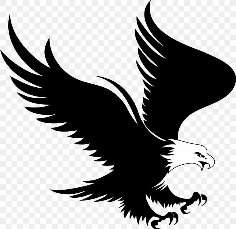 Bald Eagle Logo Royalty-free, PNG, 2048x1993px, Bald Eagle, Beak, Bird, Bird Of Prey, Black And White Download Free