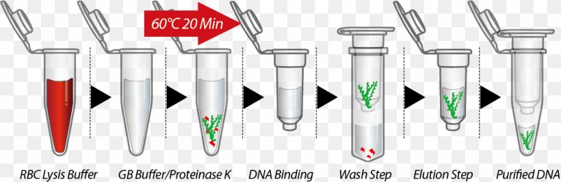 DNA Extraction Cell Plasmid, PNG, 1062x347px, Dna Extraction, Blood, Brand, Cell, Dna Download Free