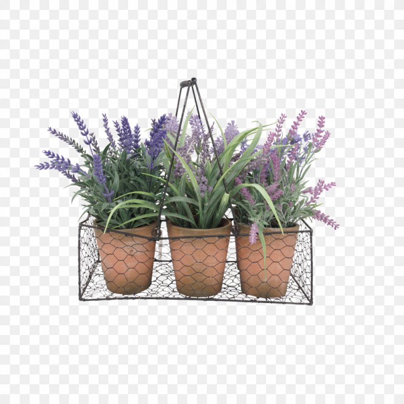 Flowerpot Plastic Material Aucuba Japonica Garden, PNG, 1024x1024px, Flowerpot, Aucuba, Aucuba Japonica, Color, Description Download Free