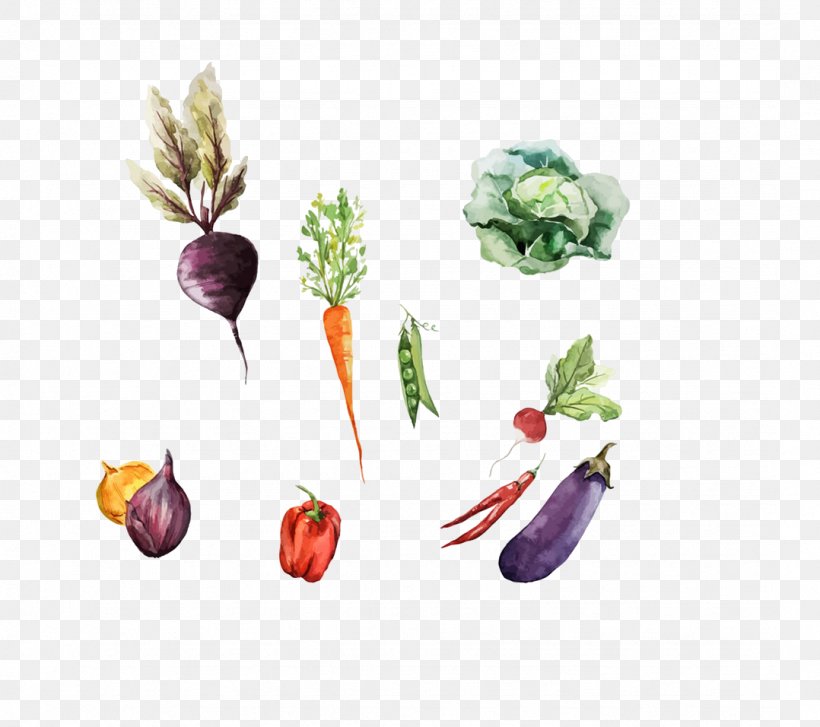 Root Vegetables Watercolor Painting Drawing Illustration, PNG, 1078x956px, Vegetable, Carrot, Cuisine, Cutlery, Drawing Download Free