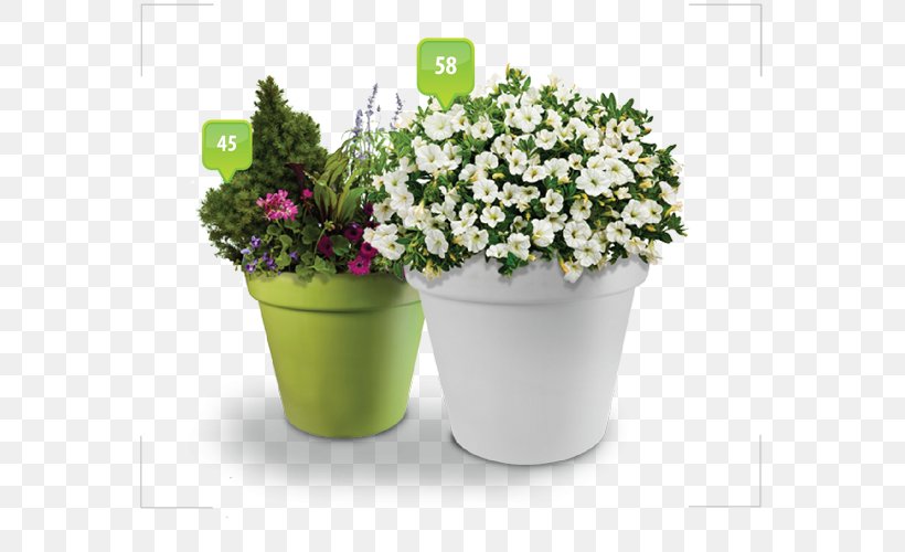 Flowerpot Snow Shovel Koszutki, PNG, 579x500px, Flowerpot, Annual Plant, Artificial Flower, Cut Flowers, Floral Design Download Free