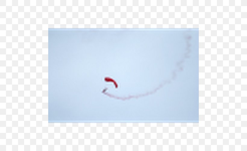 Kite Sports Sky Plc, PNG, 500x500px, Kite Sports, Kite, Sky, Sky Plc, Sport Download Free