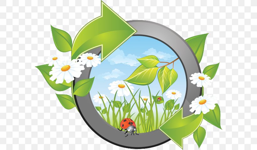 Vector Graphics Royalty-free Illustration Stock Photography Clip Art, PNG, 601x479px, Royaltyfree, Flora, Flower, Flowering Plant, Grass Download Free