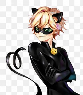 Cat Noiradrian Miraculous Ladybug Ladybug Miraculous