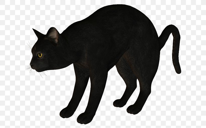 Black Cat Korat Havana Brown Manx Cat, PNG, 650x509px, Black Cat, Animal Figure, Art, Asian, Black Download Free