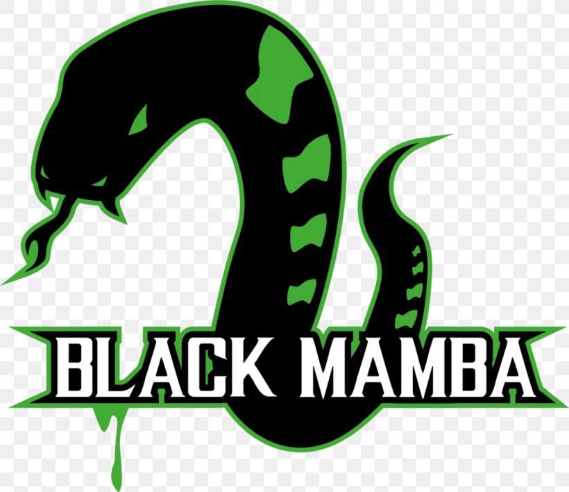 Black Mamba Logo Snakes DeviantArt Font, PNG, 1024x885px, Black Mamba, Brand, Character, Deviantart, Fiction Download Free