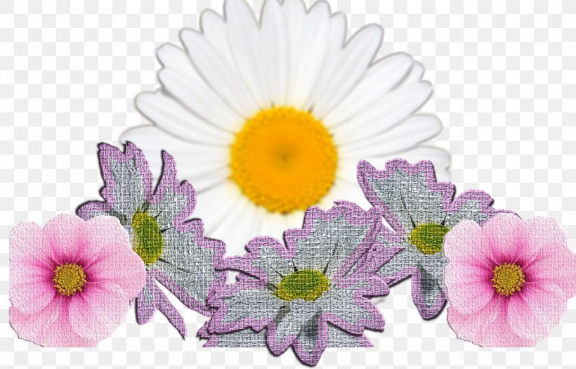 Cut Flowers Transvaal Daisy Internet Floral Design, PNG, 1280x821px, Flower, Annual Plant, Aster, Chrysanthemum, Chrysanths Download Free