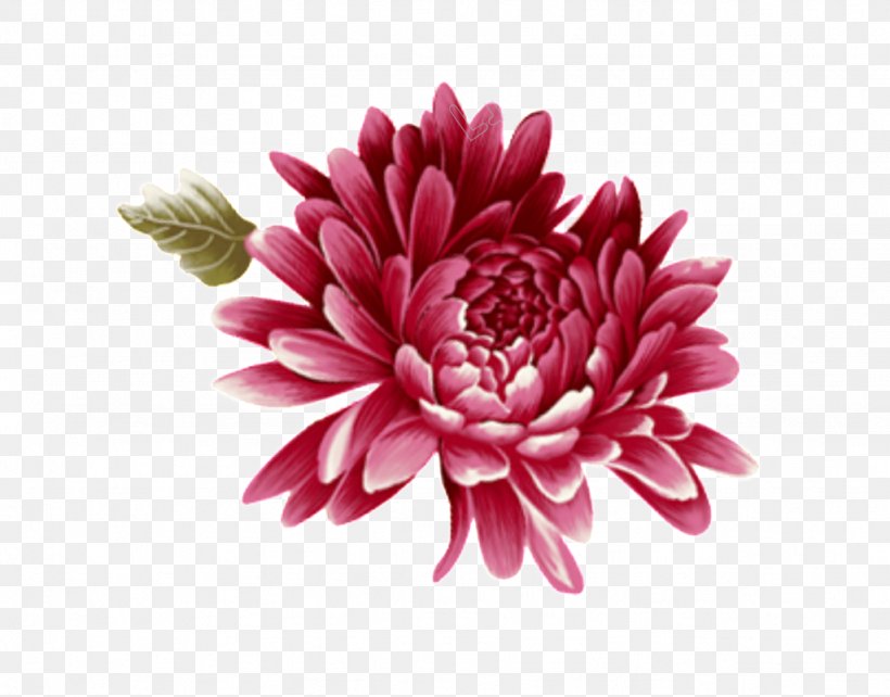 Flower Petal Pink Plant Dahlia, PNG, 1024x802px, Flower, Dahlia, Daisy Family, Gerbera, Petal Download Free