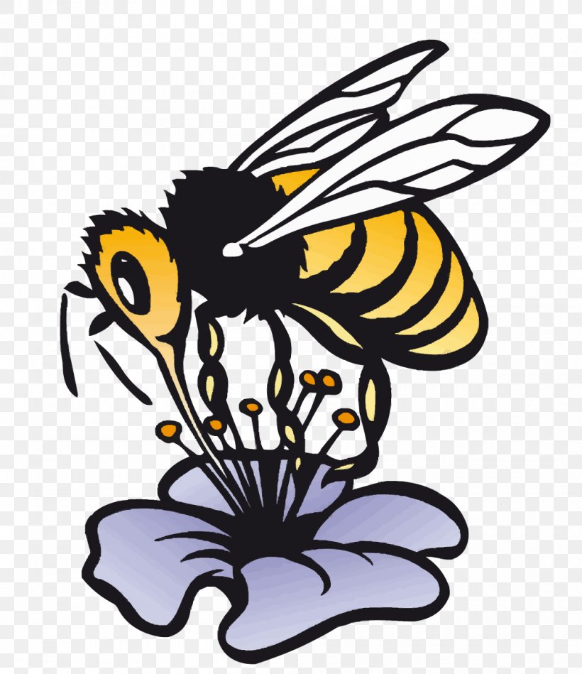 Honey Bee Jabot Beekeeping Clip Art, PNG, 1040x1204px, Honey Bee, Art, Artwork, Beak, Bee Download Free