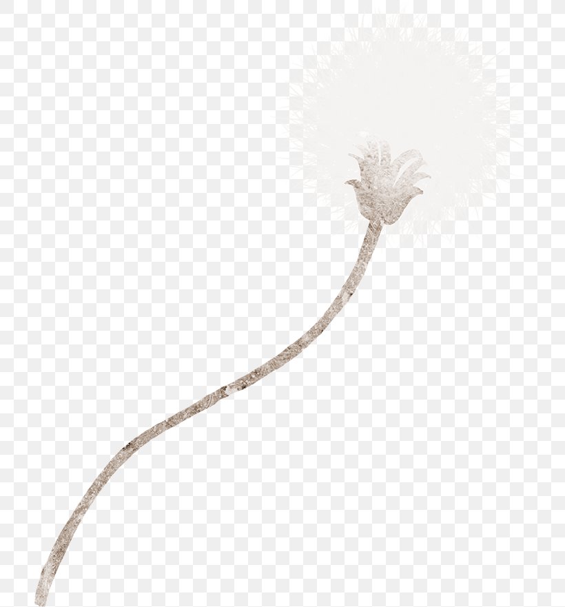 Dandelion Cartoon Flower, PNG, 720x881px, Dandelion, Beige, Cactaceae, Cartoon, Flower Download Free