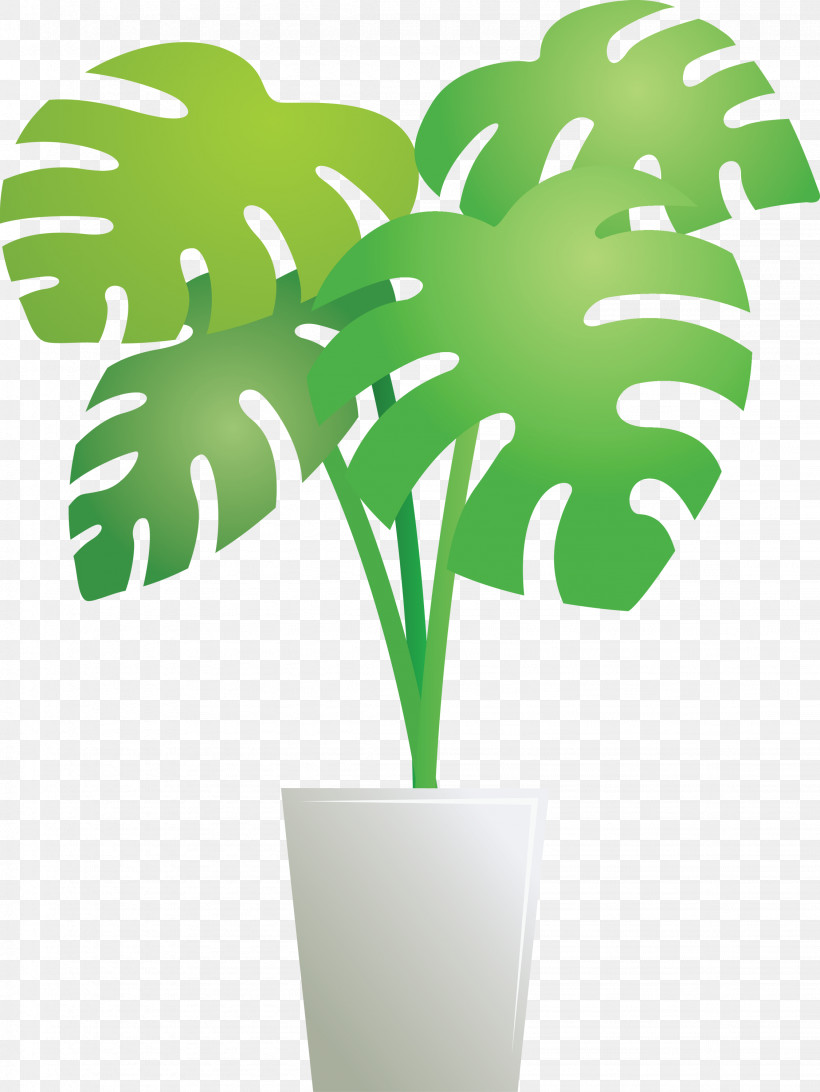 Monstera Tropical Leaf, PNG, 2251x3000px, Monstera, Arecales, Flowerpot, Green, Leaf Download Free