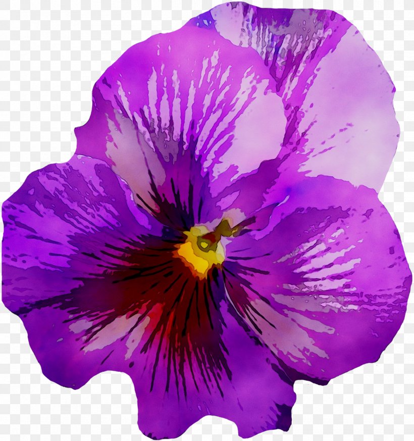 Pansy Image Violet Drawing, PNG, 1322x1408px, Pansy, Annual Plant, Drawing, Flower, Flowering Plant Download Free