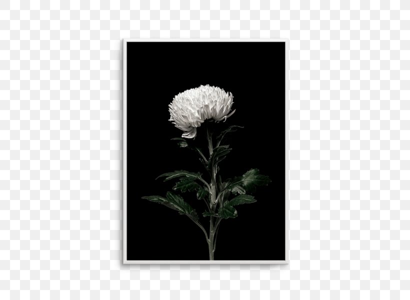 Paper Petal Flower White Printing, PNG, 476x600px, Paper, Agave, Art, Black, Black And White Download Free