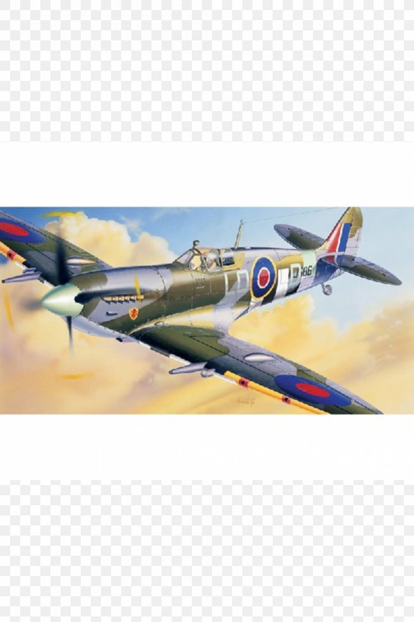 Supermarine Spitfire Aircraft Italeri Eduard Second World War, PNG, 1000x1502px, 172 Scale, Supermarine Spitfire, Aircraft, Airfix, Airplane Download Free