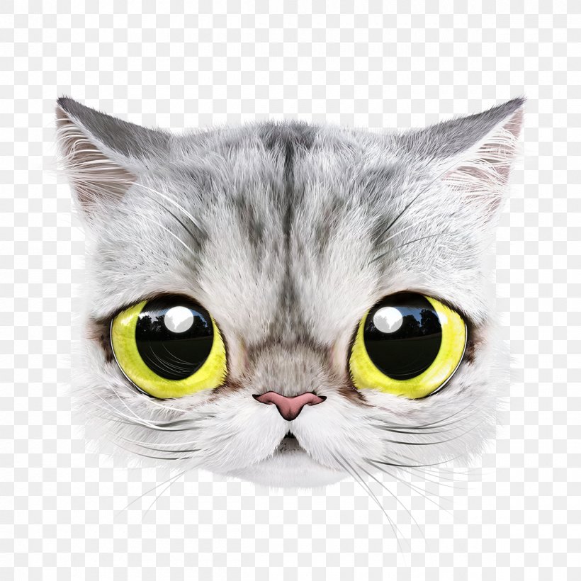 American Shorthair American Wirehair Whiskers Kitten Domestic Short-haired Cat, PNG, 1200x1200px, American Shorthair, American Wirehair, Art, Carnivoran, Cat Download Free