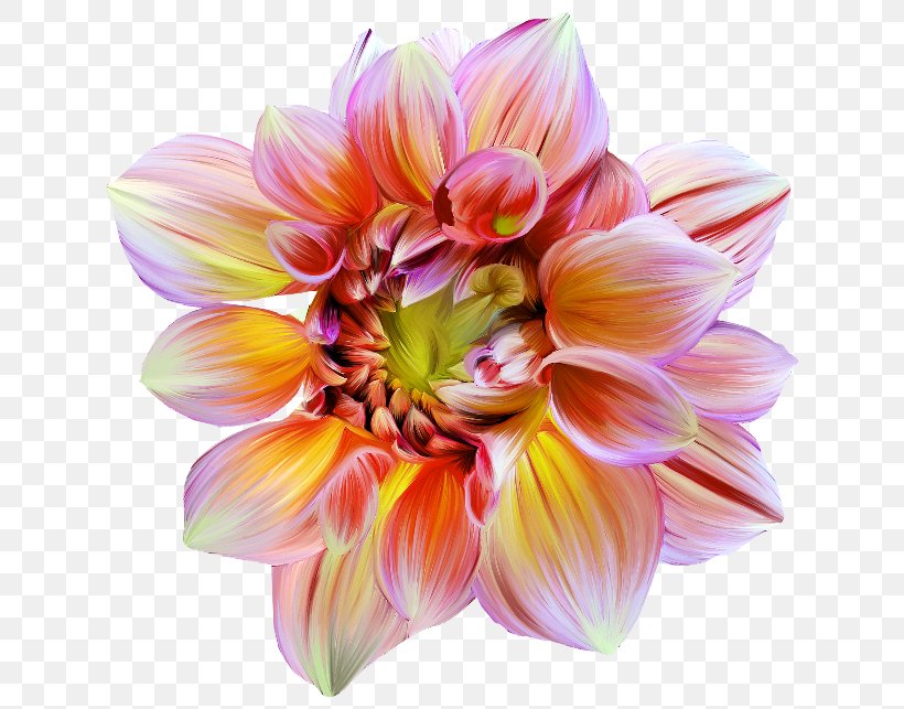 Artificial Flower Floral Design Petal, PNG, 650x643px, Flower, Artificial Flower, Botany, Cut Flowers, Dahlia Download Free