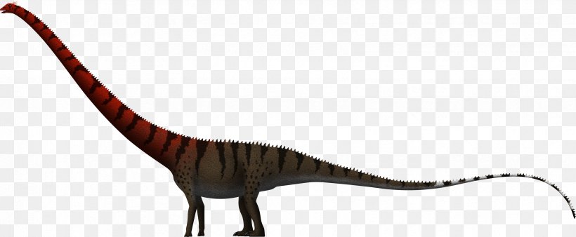 Barosaurus Dinheirosaurus Amphicoelias Supersaurus Dinosaur Size, PNG, 3313x1369px, Barosaurus, Amniote, Amphicoelias, Amphicoelias Fragillimus, Animal Figure Download Free