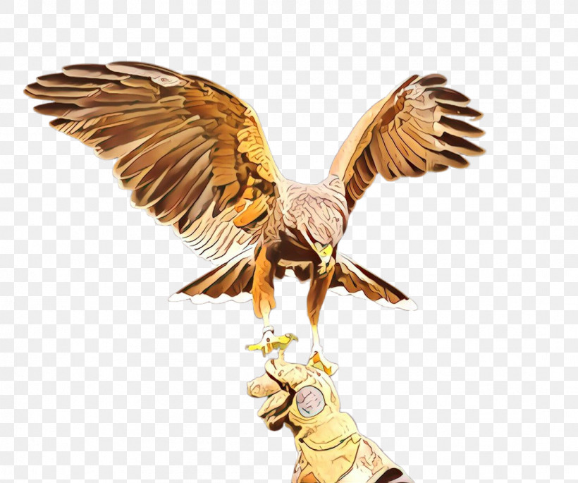 Eagle Wing Golden Eagle Bird Bird Of Prey, PNG, 1094x914px, Eagle, Angel, Animal Figure, Bird, Bird Of Prey Download Free